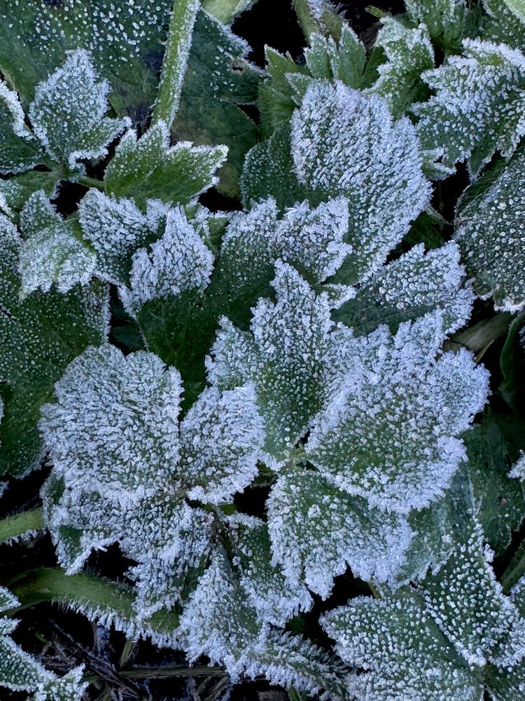 Photograph by Арина Бурда