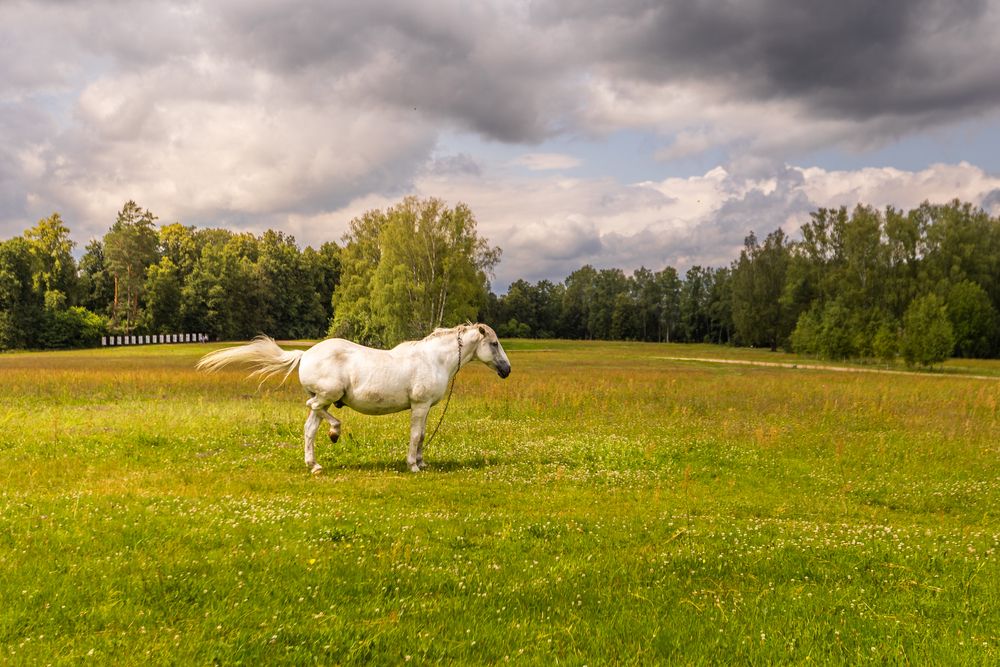 Фотография автора Andris Salmins