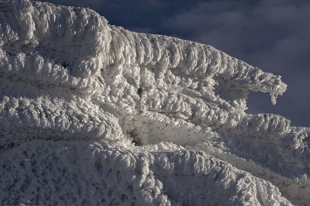 Photograph by Пешков Валерий