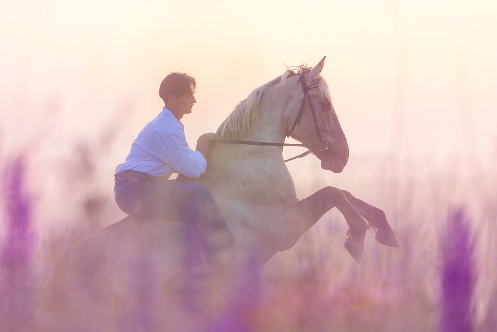 Photograph by Yulia  Maximova