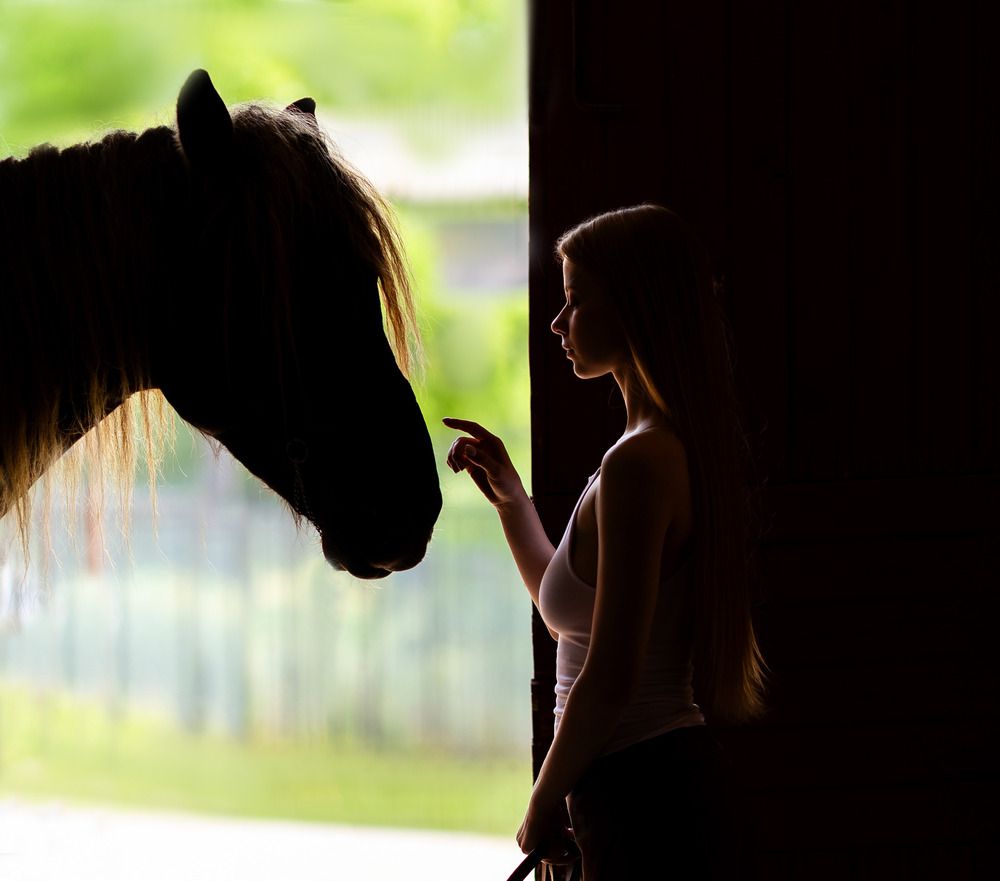 Photograph by Yulia  Maximova