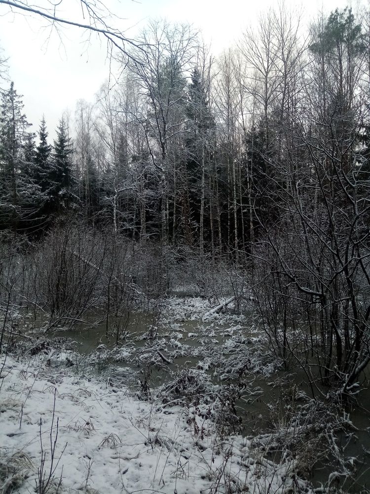 Photograph by Анна-Лаймуте Милошевич