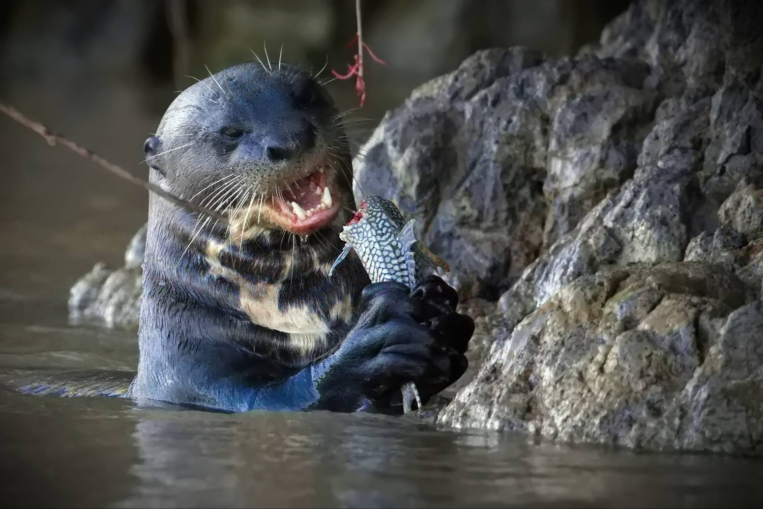 Вкуснятина