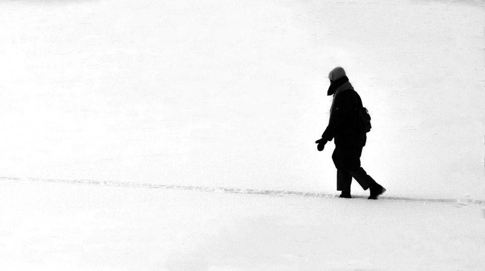 Photograph by Дмитрий Пронин