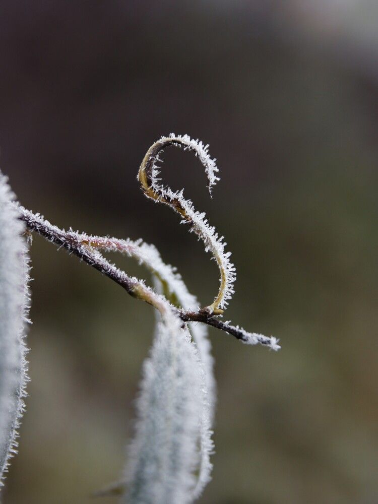 Photograph by Елена Кондратьева