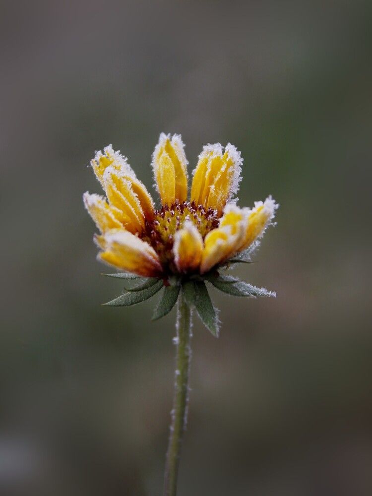 Photograph by Елена Кондратьева