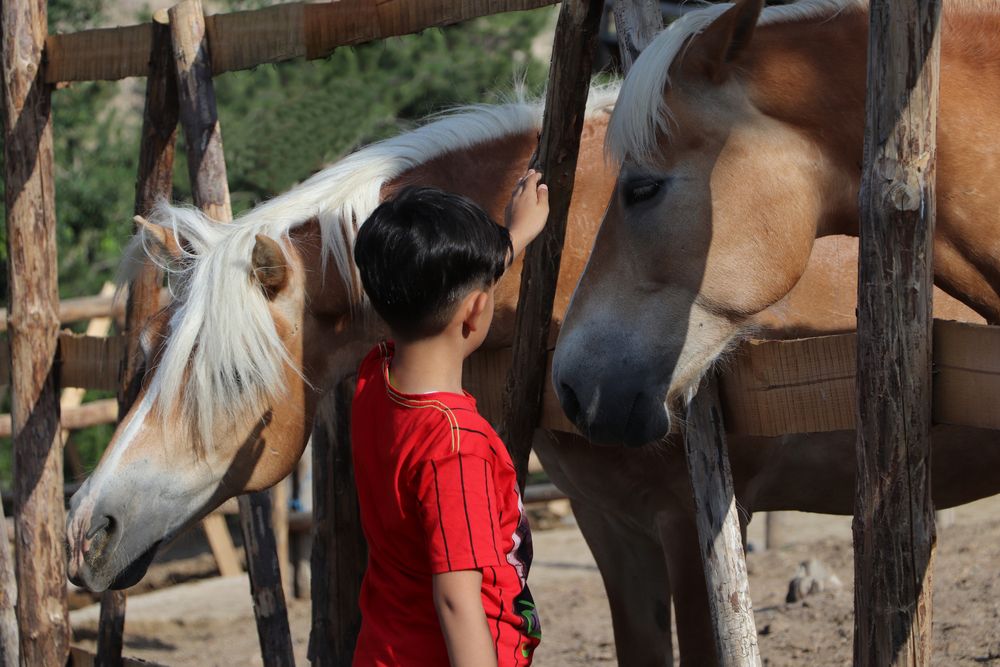 Photograph by Buket Demirel