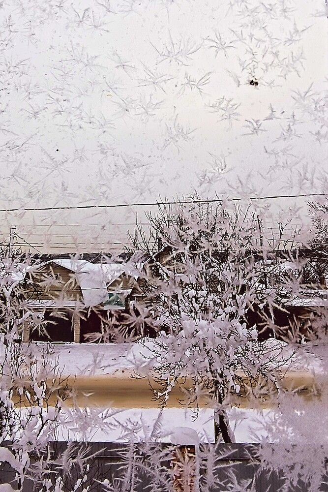 Photograph by Анна Лернер