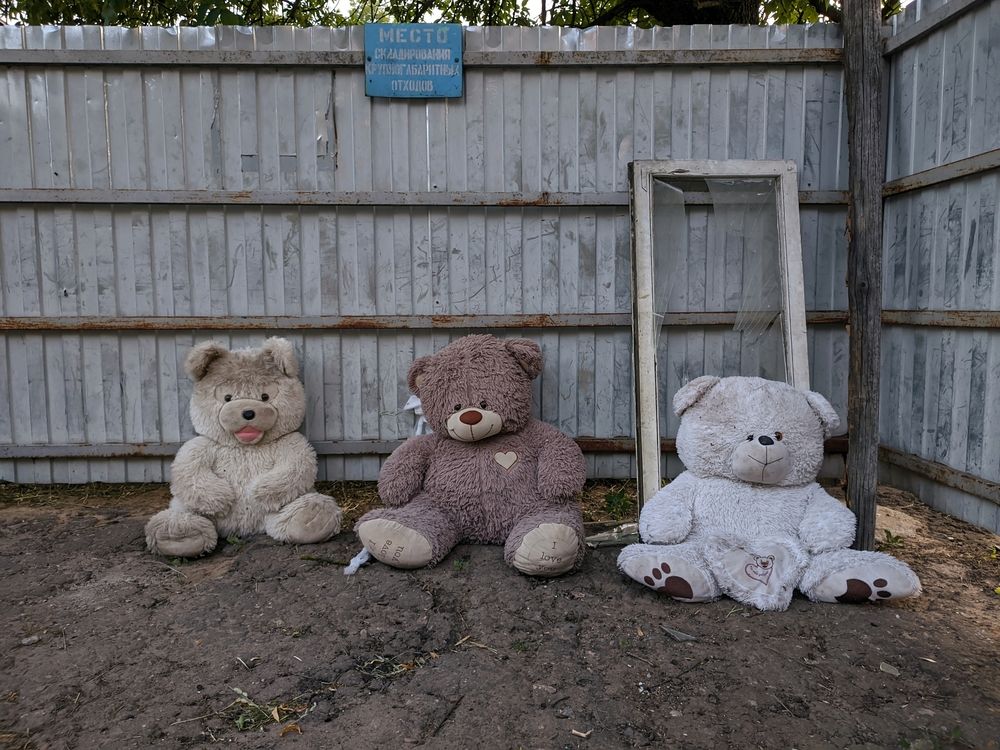 Photograph by Владимир Заборонок