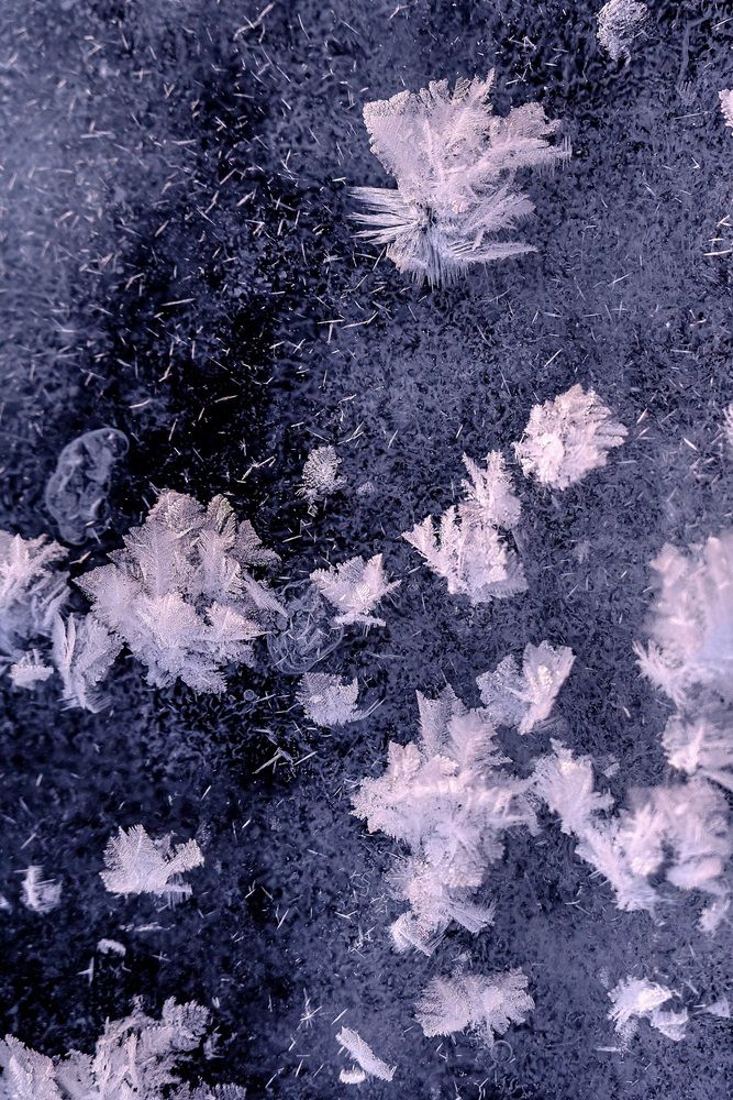 Photograph by Виктория Лобанова