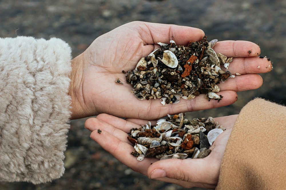 Photograph by Алексей Морозов