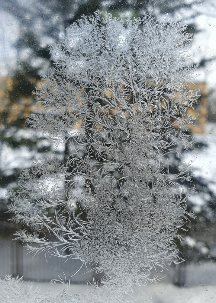 Photograph by Жанна Регор