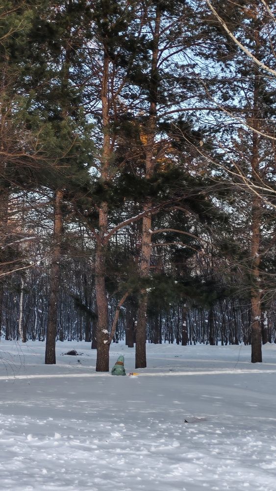 Фотография автора Наталья Шендяпина