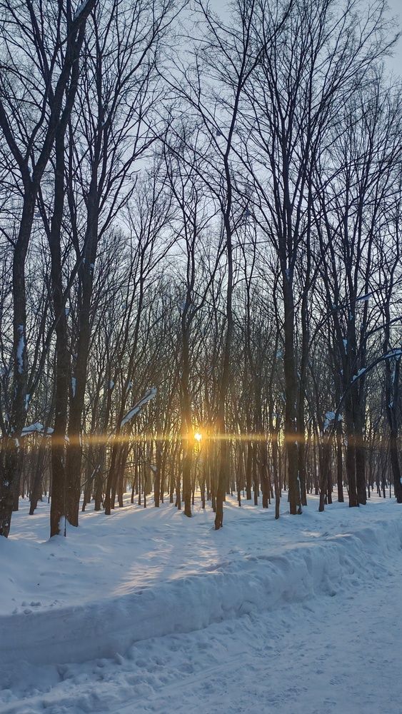 Фотография автора Наталья Шендяпина