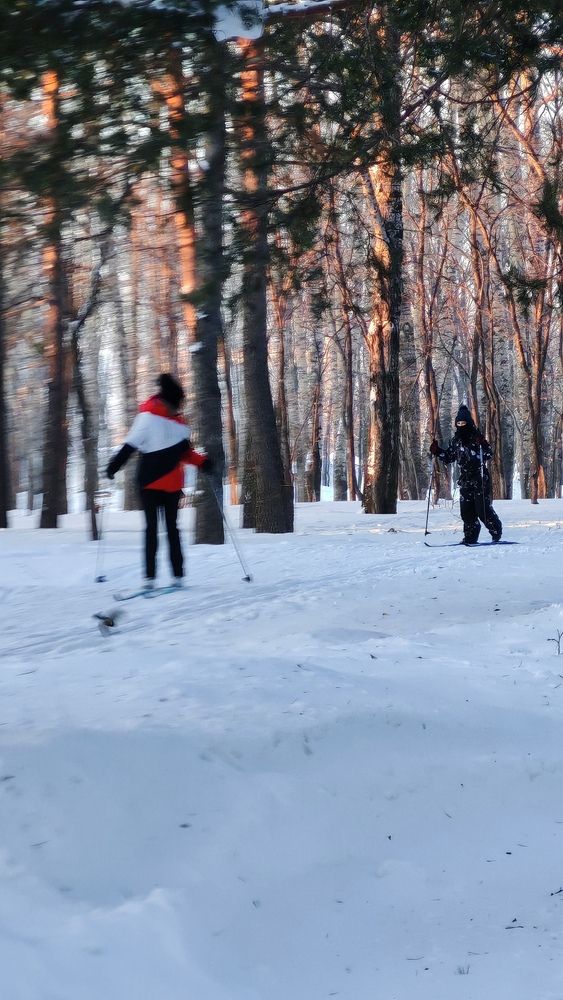 Фотография автора Наталья Шендяпина
