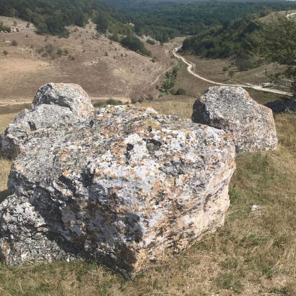 Ancient Sentinels