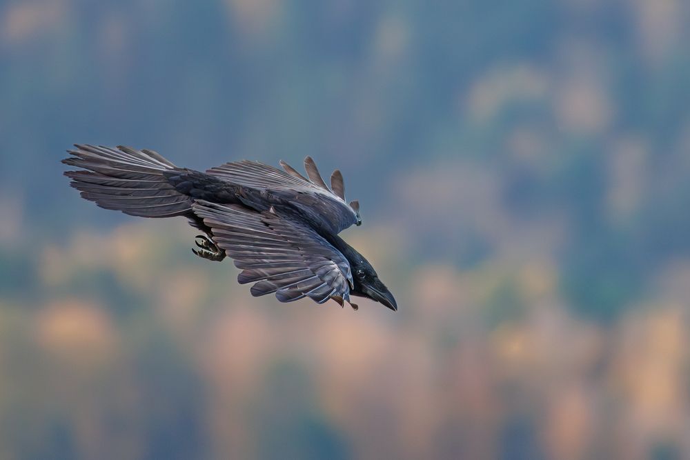 Photograph by Николай Попов