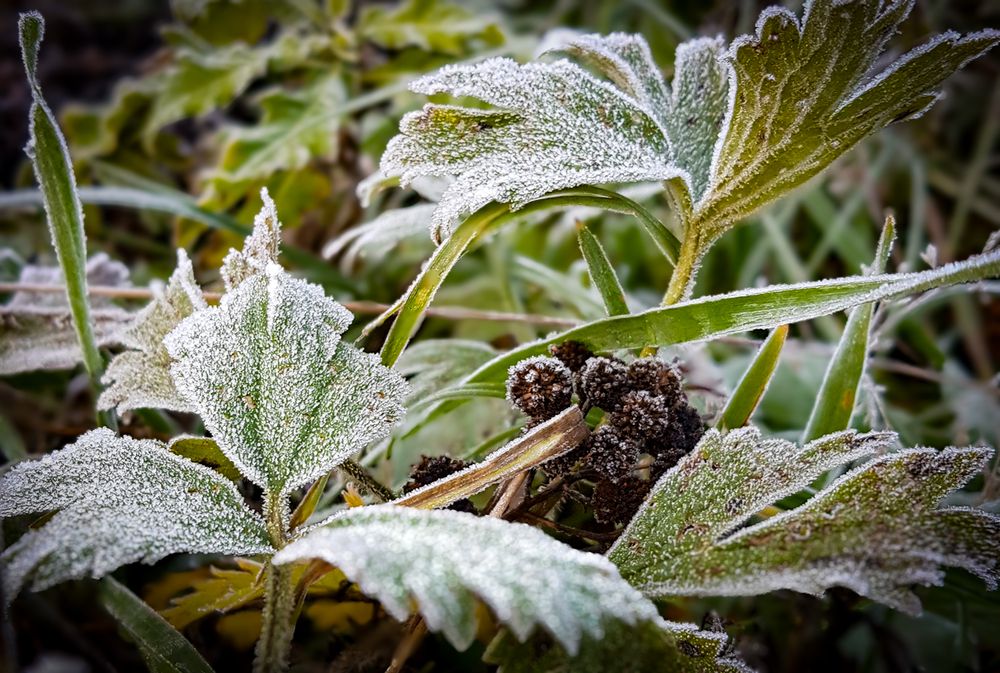 Фотография автора Игорь Кот