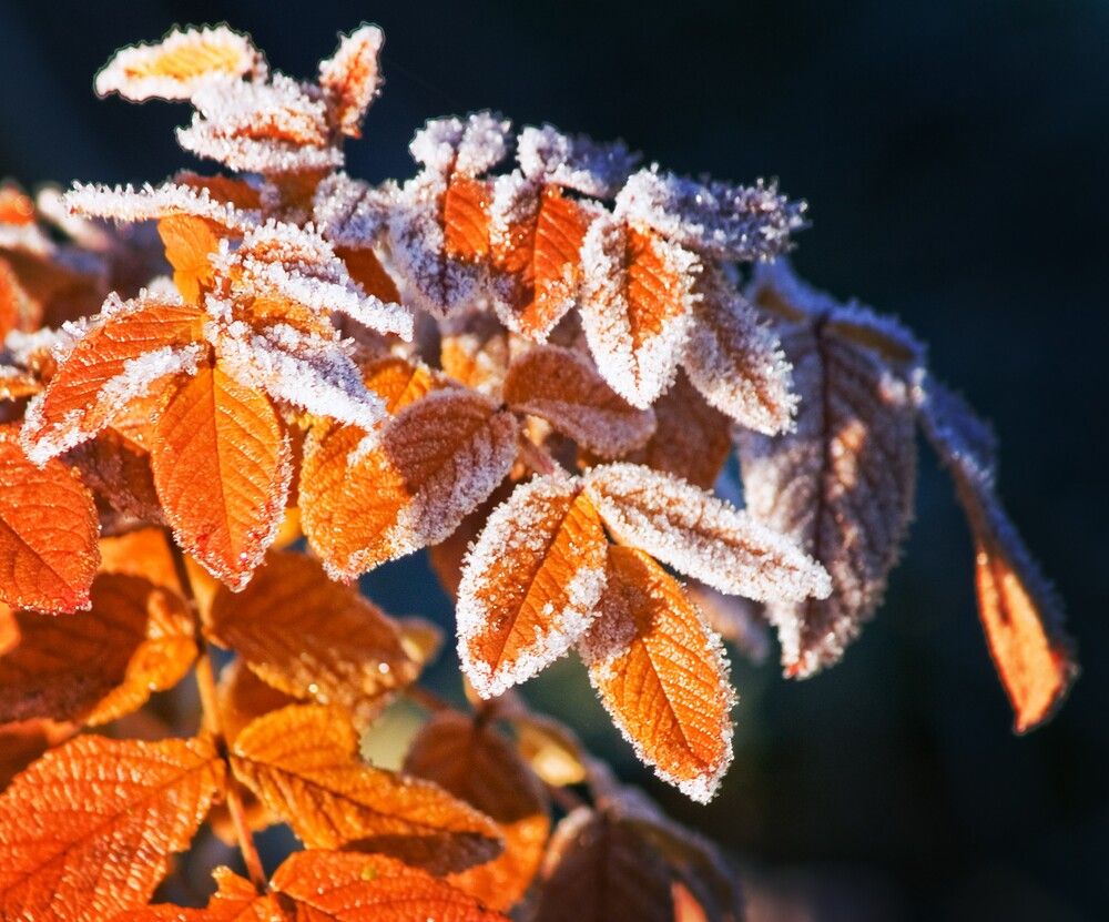 Photograph by Agita Leimane