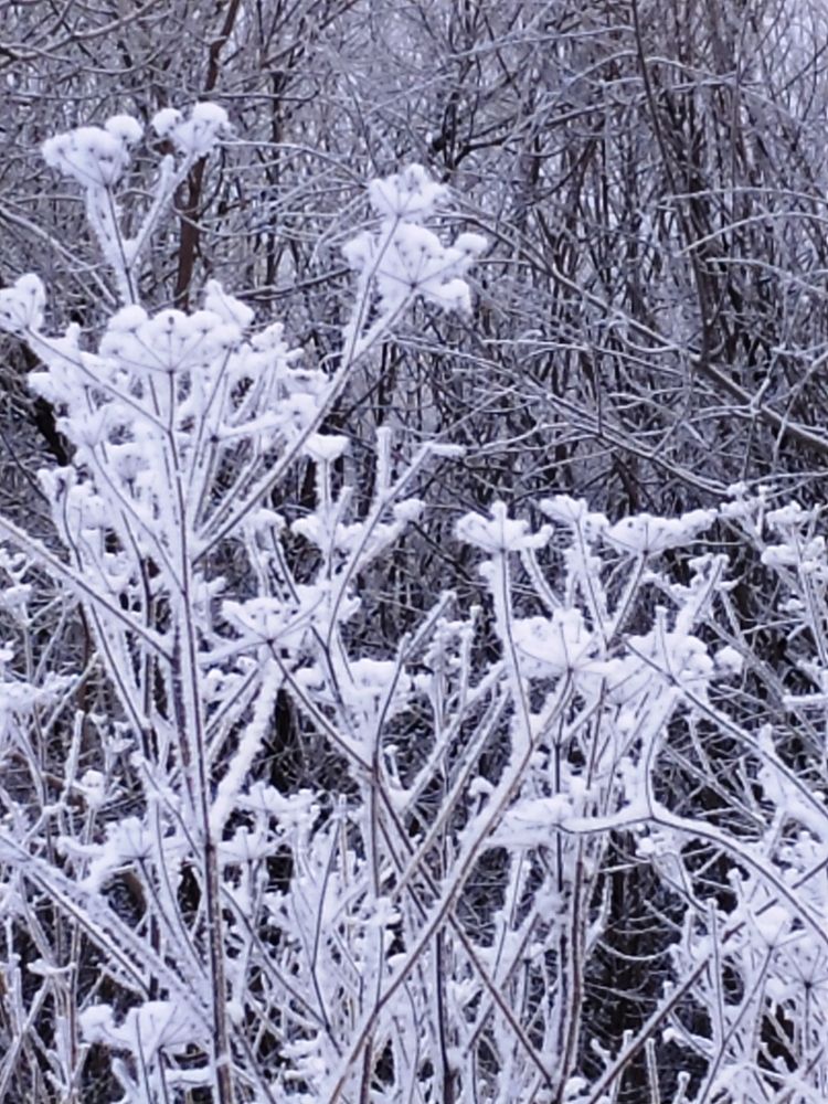 Photograph by Татьяна Гульпа