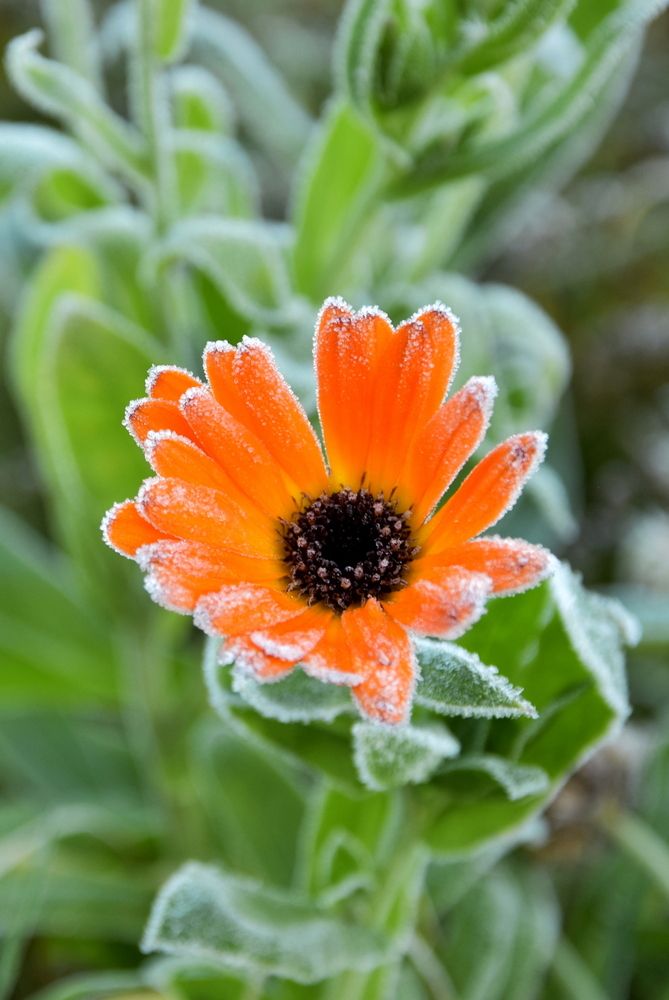 Photograph by Ирина Алексеева