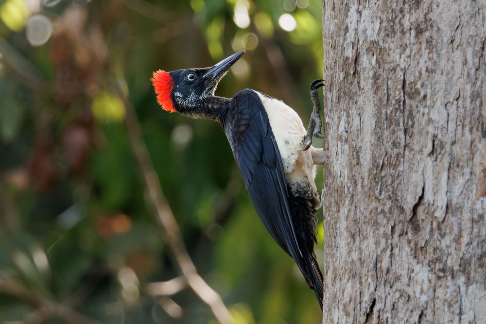 Photograph by Николай Попов