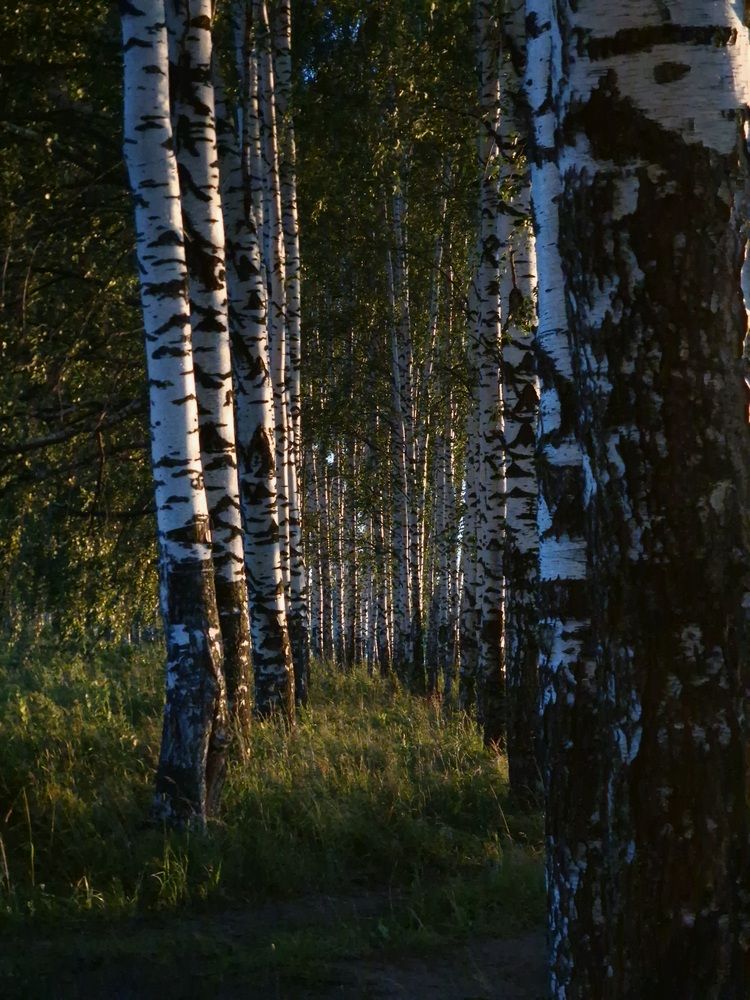 Photograph by Виктория Миронова