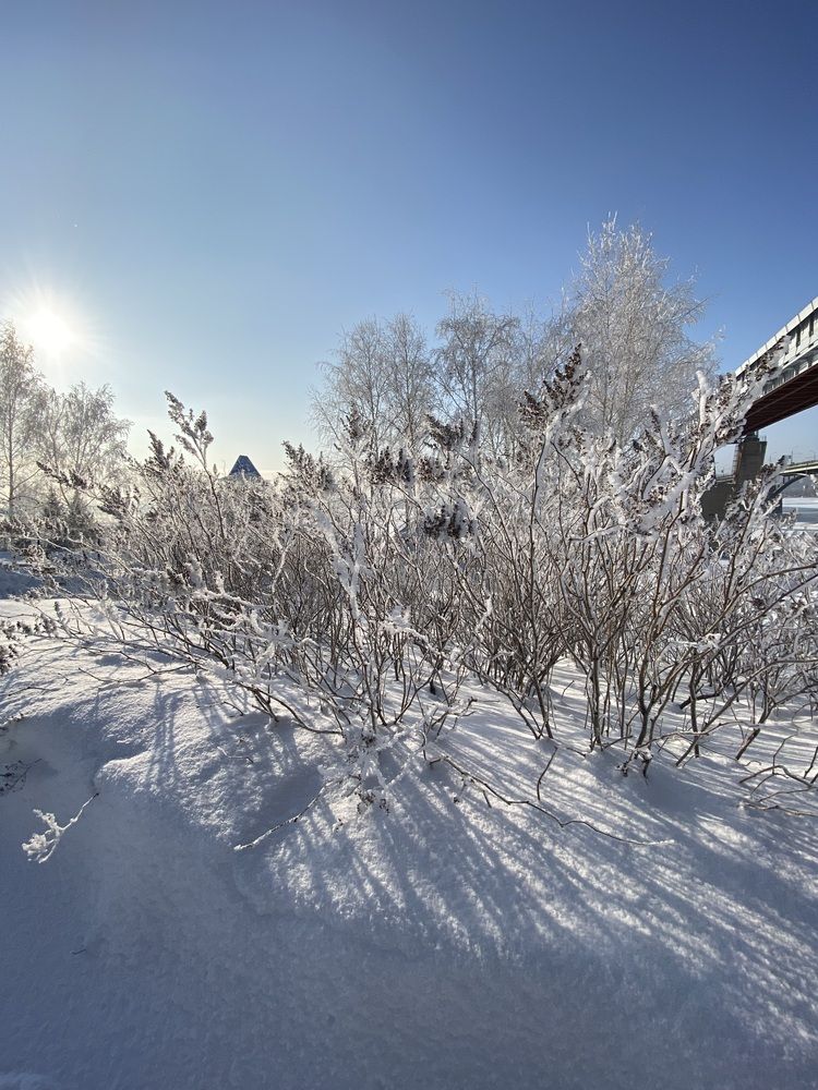 Photograph by Алиса Лукина