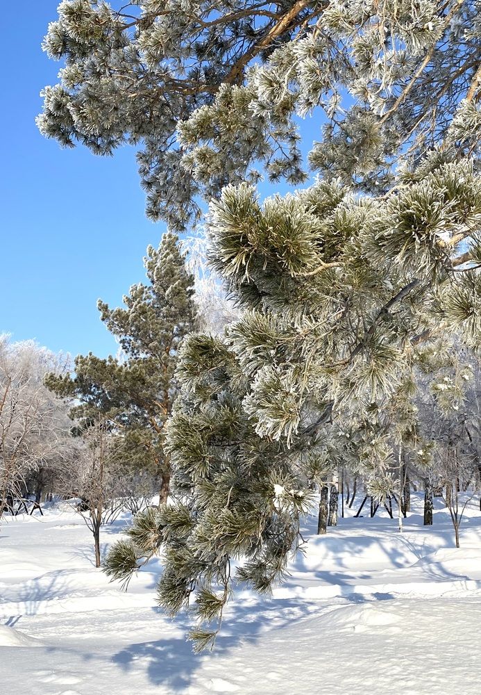 Photograph by Алиса Лукина