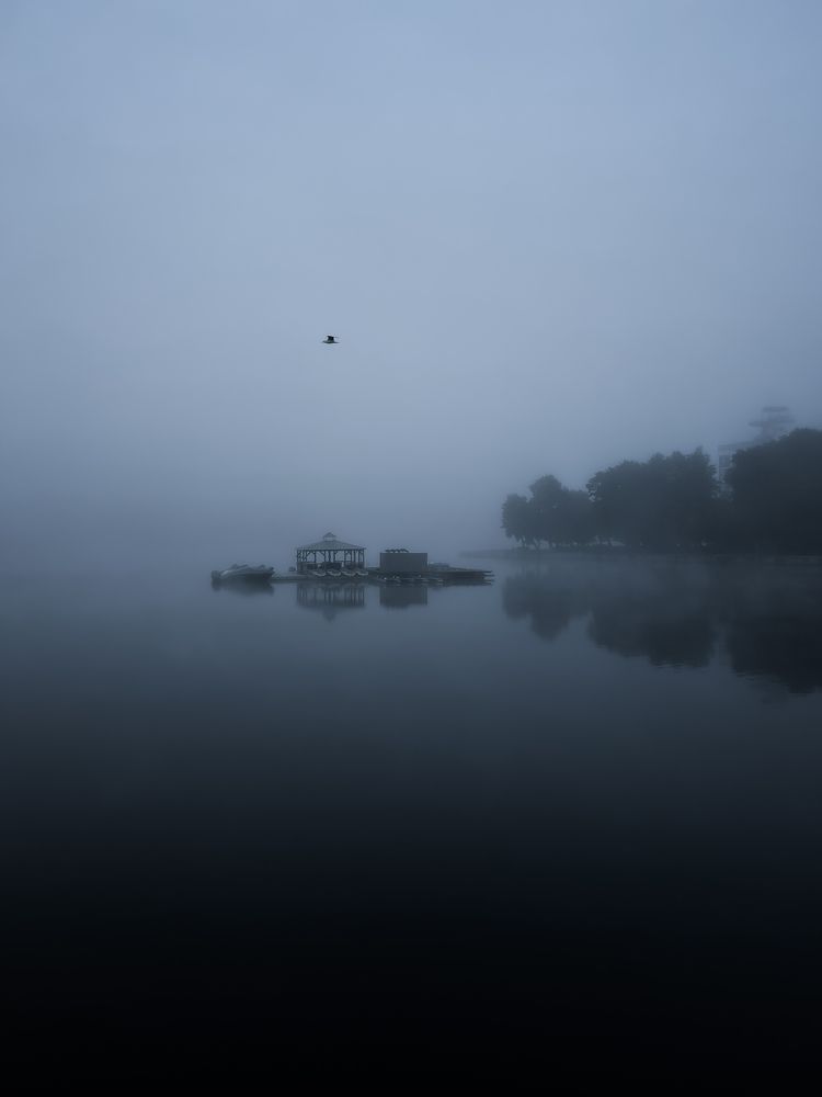 Photograph by Константин Шипицын