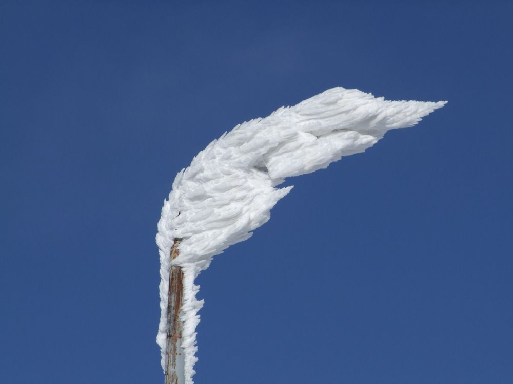 Photograph by Cengiz Yalcin