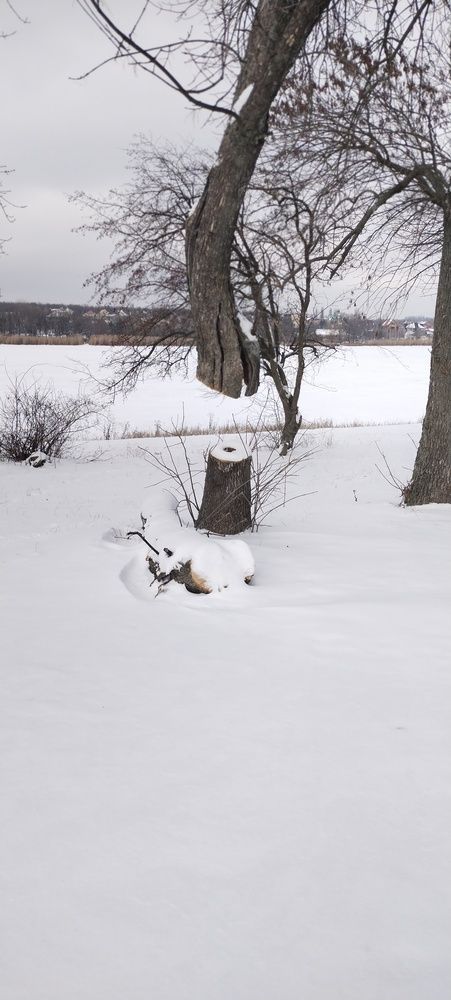 Photograph by Дарина Макарова