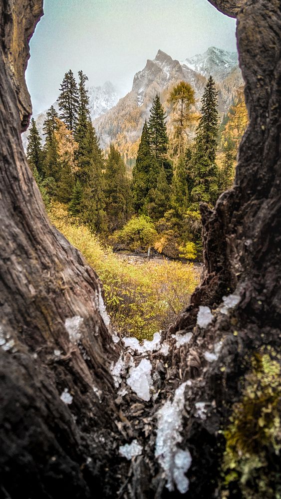 Photograph by Алексей Котлов