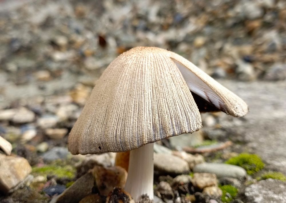 Photograph by Александр Казачек