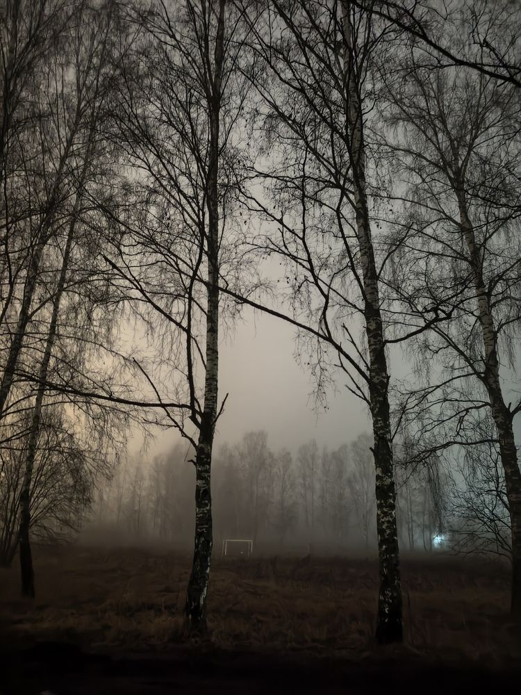 Фотография автора Елена Охапкина