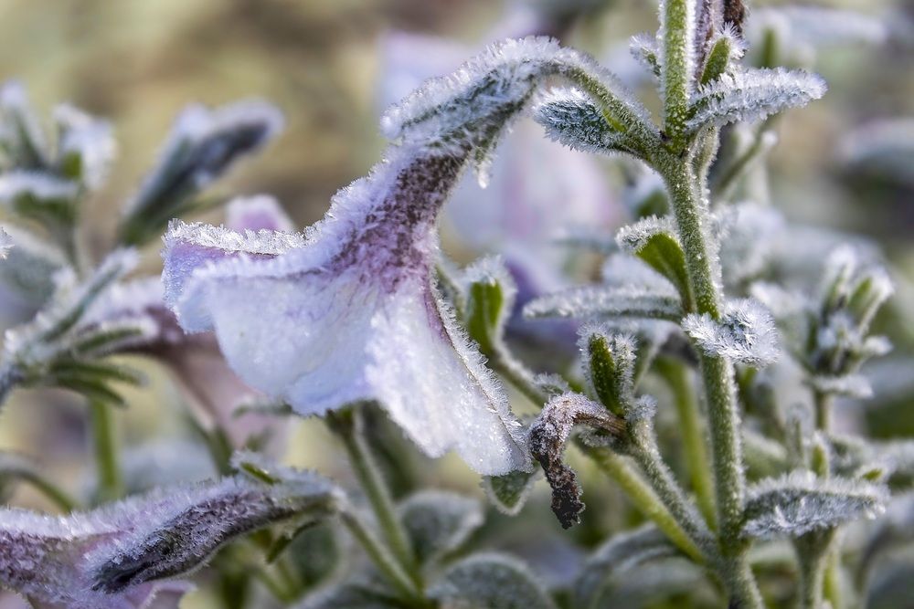 Photograph by Валентина Куренкова