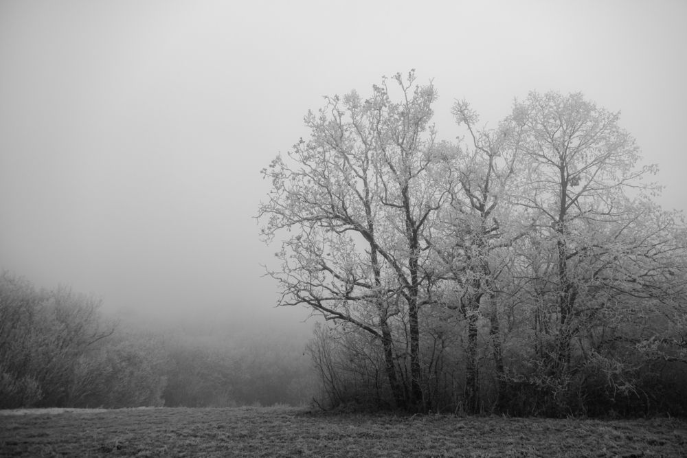 Photograph by Veronika Biró