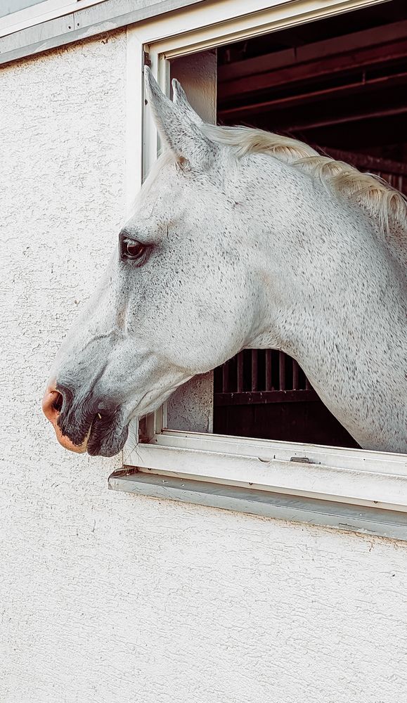 Photograph by Iryna Usanova