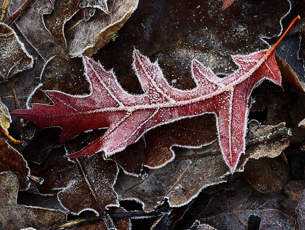 Фотография автора Дьяченко Игорь
