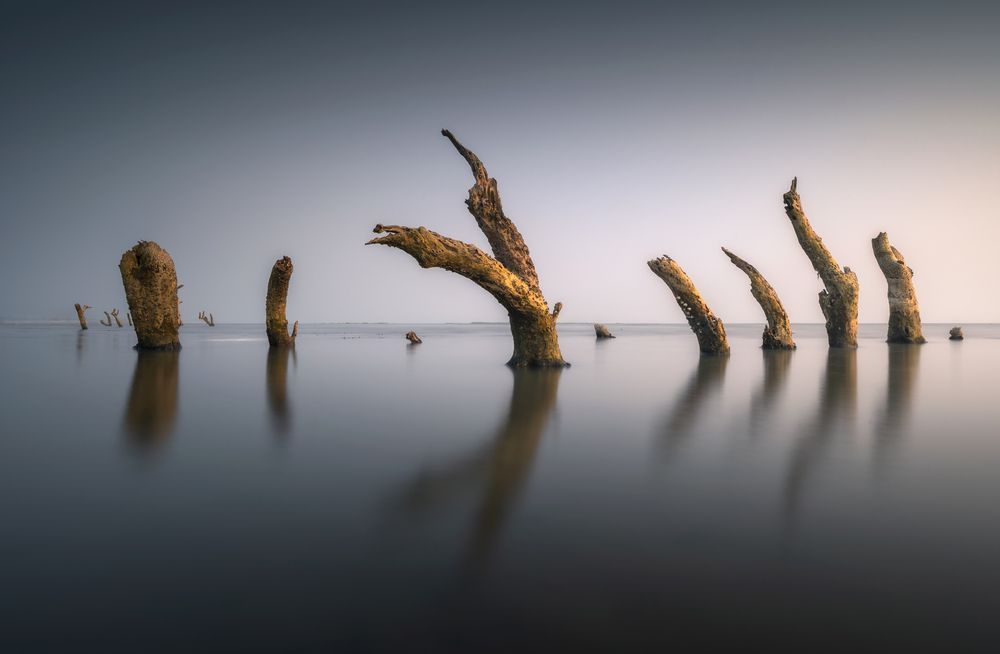 Harmony
