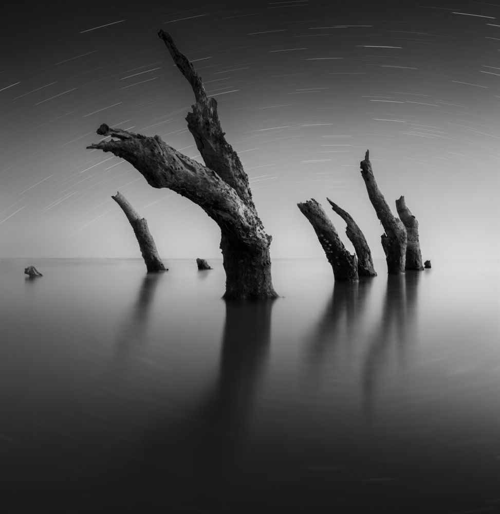 Фотография автора Sk Shahrukh Sohel