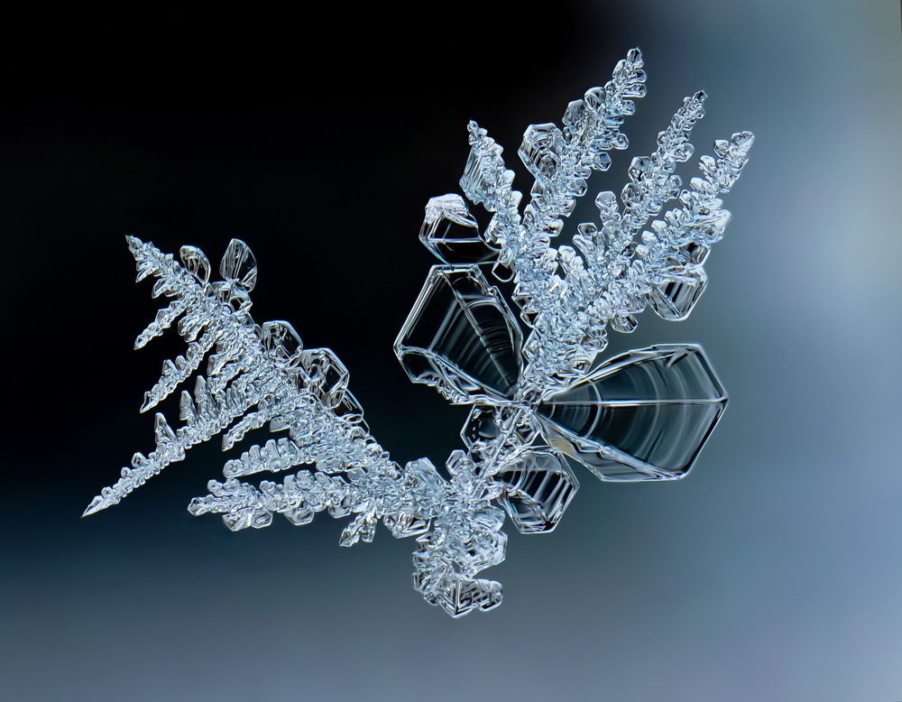 Photograph by Наталья Соколова