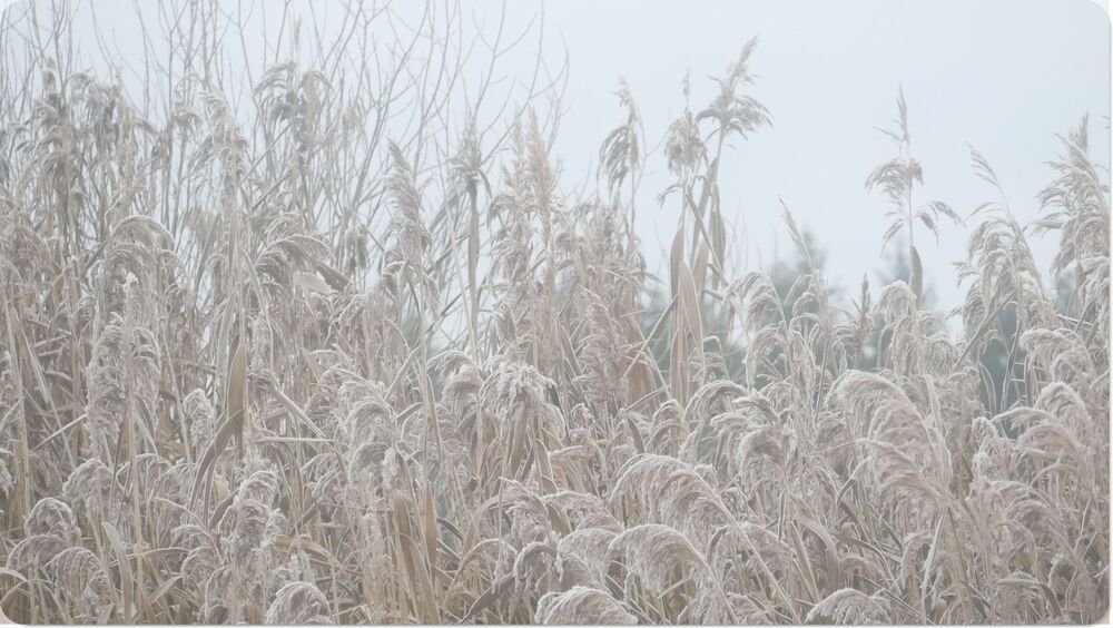 Фотография автора Aiste Adomaitiene