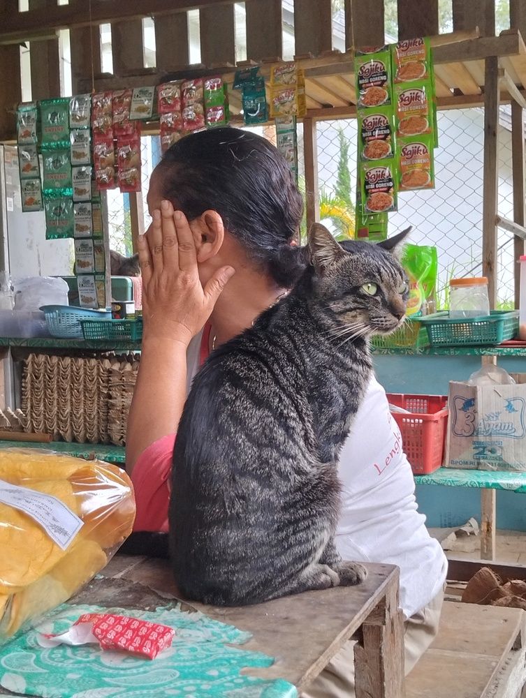 Фотография автора Adal Adams Adal