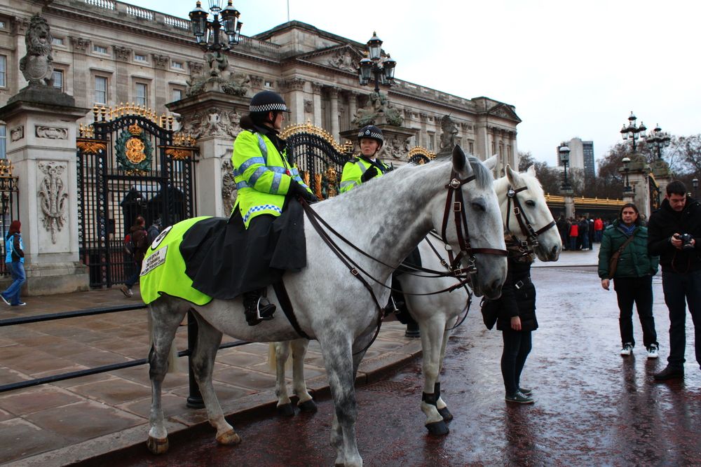 Photograph by Владимир Гречанинов