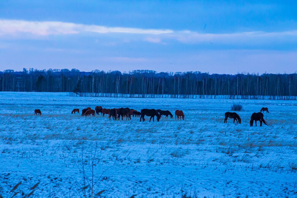 Photograph by Дмитрий Проскурин
