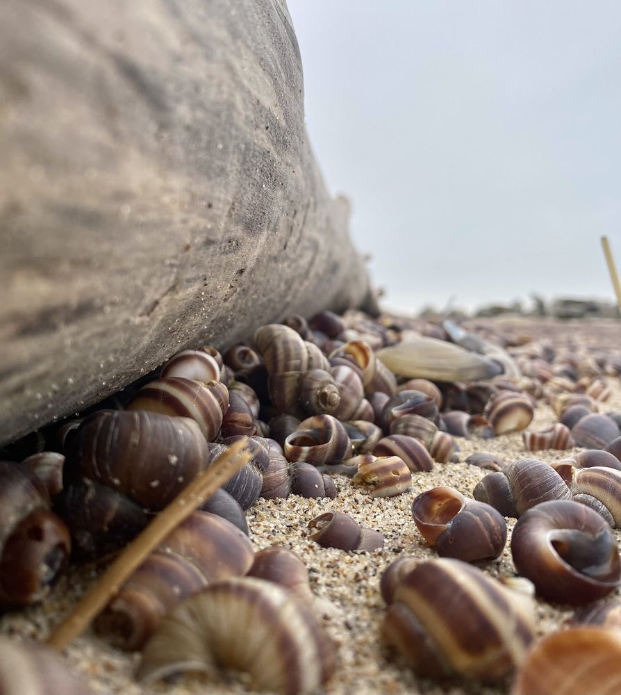 Photograph by Алиса Лукина