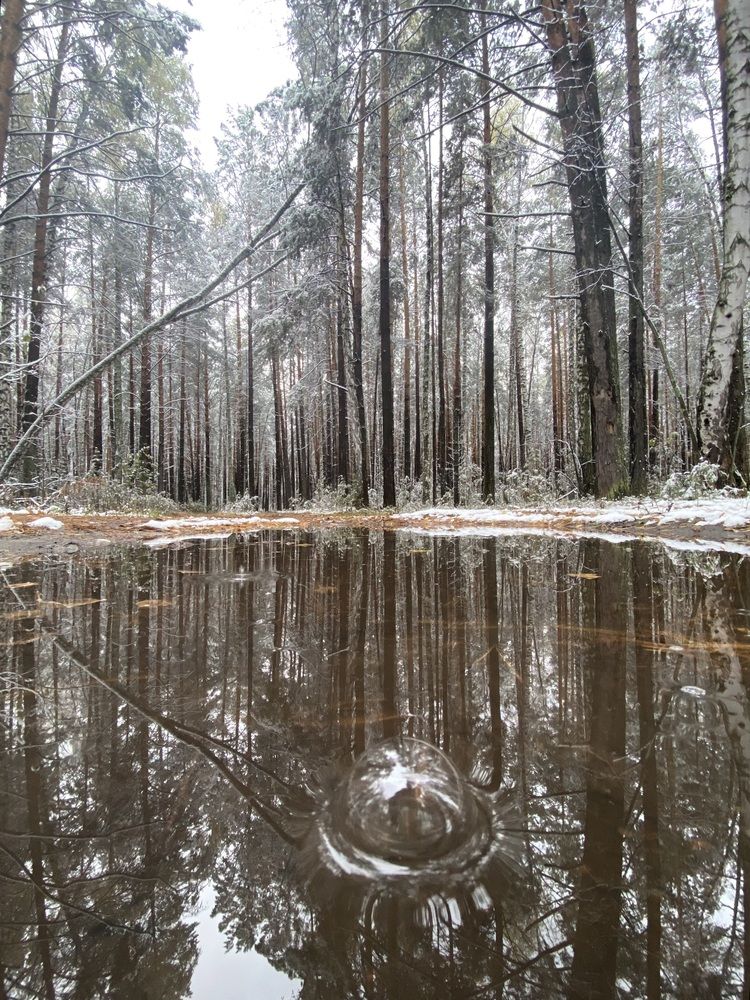 Photograph by Алиса Лукина