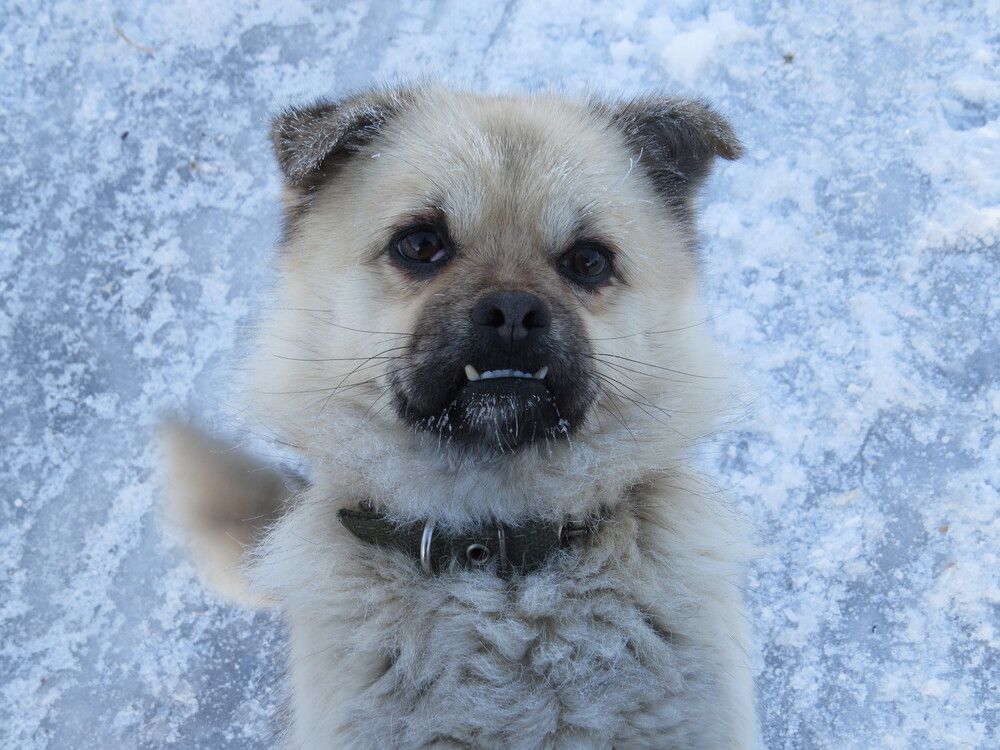 Photograph by Лариса Басова