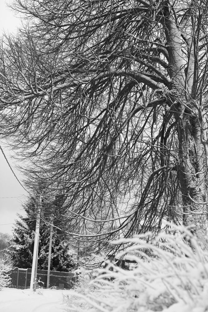 Photograph by Вера Сдвижкова